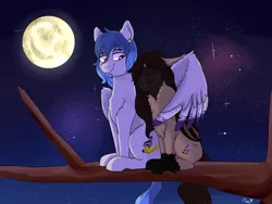 Size: 1200x900 | Tagged: safe, artist:passigcamel, derpibooru import, oc, oc:casey bleu, oc:rasta jam, unofficial characters only, bat pony, pegasus, pony, bleujam, commission, cute, eyes closed, fangs, female, full moon, gift art, hug, husband and wife, male, mare, married couple, moon, night, oc x oc, shipping, smiling, stallion, stars, straight, tree branch, winghug