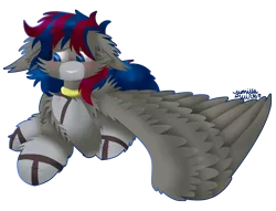 Size: 2000x1524 | Tagged: safe, artist:vanillaswirl6, derpibooru import, oc, oc:raven skies, unofficial characters only, pegasus, pony, blushing, cheek fluff, chest fluff, collar, colored hooves, colored pupils, commission, fluffy, looking down, lying down, male, nervous, outline, prone, raised hoof, signature, simple background, solo, spread wings, stallion, transparent background, wing fluff, wings
