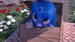 Size: 2560x1440 | Tagged: safe, artist:thelunagames, derpibooru import, princess luna, pony, 3d, :p, box, cinema 4d, cute, doorstep, female, filly, flower, looking at you, lunabetes, note, pony in a box, russian, solo, tongue out, woona, younger