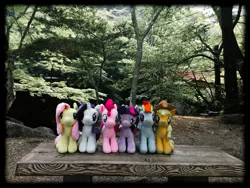 Size: 3264x2448 | Tagged: safe, artist:setorin5, derpibooru import, applejack, fluttershy, pinkie pie, rainbow dash, rarity, twilight sparkle, twilight sparkle (alicorn), alicorn, pony, 4de, irl, japan, mane six, park, photo, photoshop, plushie, ponies around the world