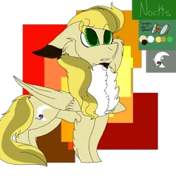 Size: 2560x2560 | Tagged: safe, artist:brokensilence, derpibooru import, oc, oc:noctis, unofficial characters only, pony, chest fluff, chin fluff, clothes, ear fluff, facial hair, fluffy, goatee, goggles, long tail, reference sheet, simple background, solo