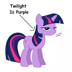 Size: 1200x1200 | Tagged: safe, derpibooru import, twilight sparkle, pony, unicorn, annoyed, captain obvious, caption arrow, color, female, fourth wall, grumpy, grumpy twilight, lavender, mare, purple, purple smart, simple background, solo, truth, twilight is not amused, unamused, unicorn twilight, vector, white background