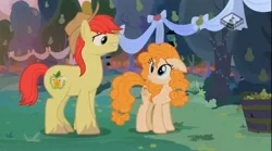 Size: 829x462 | Tagged: safe, derpibooru import, screencap, bright mac, pear butter, earth pony, pony, the perfect pear, brightbutter, eye contact, female, floppy ears, frown, grin, hat, looking at each other, male, mare, shipping, smiling, stallion, straight