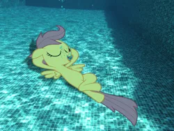 Size: 3968x2976 | Tagged: safe, artist:sb1991, derpibooru import, scootaloo, pony, chillaxing, eyes closed, irl, on back, photo, ponies in real life, relaxing, request, requested art, solo, swimming pool, underwater