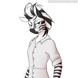 Size: 2000x2000 | Tagged: anthro, artist:silverfox057, clothes, commission, derpibooru import, oc, safe, simple background, smiling, solo, unofficial characters only, white background, zebra