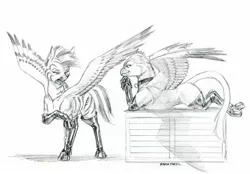 Size: 1400x973 | Tagged: safe, artist:baron engel, derpibooru import, oc, oc:keyboard, oc:scarlet tips, unofficial characters only, gryphon, pegasus, pony, boots, duo, female, grayscale, griffon oc, mare, monochrome, pencil drawing, prone, shoes, simple background, smiling, traditional art, white background