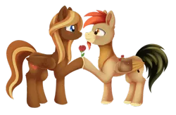 Size: 1024x672 | Tagged: safe, artist:dusthiel, derpibooru import, oc, oc:caramel breeze, oc:sentinel, unofficial characters only, pegasus, pony, commission, duo, female, flower, looking at each other, male, mare, oc x oc, rose, saddle bag, shipping, simple background, smiling, stallion, transparent background