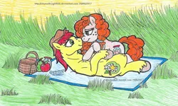 Size: 1024x616 | Tagged: safe, artist:artistnjc, deleted from derpibooru, derpibooru import, bright mac, pear butter, earth pony, pony, the perfect pear, brightbutter, buttercup, female, field, male, nose to nose, on back, picnic blanket, prone, shipping, smiling, straight, traditional art