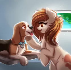Size: 704x693 | Tagged: safe, artist:confetticakez, derpibooru import, oc, unofficial characters only, beagle, dog, earth pony, pony, brown mane, white coat