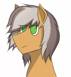 Size: 516x556 | Tagged: safe, artist:nguyendeliriam, derpibooru import, oc, oc:deliriam, unofficial characters only, pony, angry