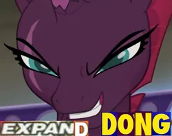 Size: 1071x849 | Tagged: suggestive, derpibooru import, edit, edited screencap, editor:watermelon changeling, screencap, tempest shadow, pony, unicorn, my little pony: the movie, broken horn, caption, cropped, expand dong, exploitable meme, female, grin, image macro, meme, smiling, smug, solo, solo female