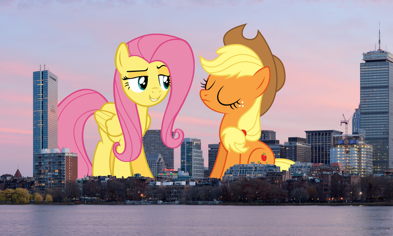 Size: 5000x3000 | Tagged: safe, artist:djdavid98 edits, artist:tardifice, artist:theotterpony, derpibooru import, applejack, fluttershy, pony, absurd resolution, boston, cowboy hat, eyes closed, freckles, giant pony, hat, highrise ponies, irl, macro, massachusetts, photo, ponies in real life, raised eyebrow, sitting, stetson, story in the source, water