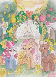 Size: 464x634 | Tagged: safe, artist:daisymane, derpibooru import, burnt oak, cup cake, mayor mare, earth pony, pony, the perfect pear, chiffon swirl, female, looking at you, male, mare, marriage, outdoors, smiling, stallion, traditional art, trio, watercolor painting, wedding