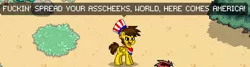 Size: 643x173 | Tagged: safe, derpibooru import, screencap, oc, oc:blu skies, unofficial characters only, pony, pony town, 4th of july, american independence day, holiday, independence day, patriotic, united states, vulgar