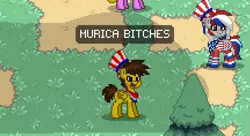 Size: 863x471 | Tagged: safe, derpibooru import, screencap, oc, oc:blu skies, unofficial characters only, pony, pony town, 4th of july, american independence day, holiday, independence day, patriotic, united states, vulgar