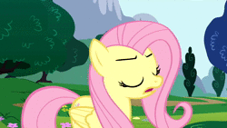 Size: 1280x720 | Tagged: safe, derpibooru import, screencap, fluttershy, rainbow dash, pegasus, pony, sonic rainboom (episode), animated, blinking, cute, duo, eyes closed, female, flutteryay, frown, gasp, glare, lidded eyes, mare, open mouth, rearing, serious, serious face, sound, spread wings, video, webm, wide eyes, wings, worried, yay
