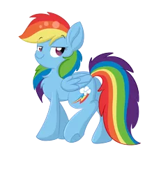 Size: 5000x6000 | Tagged: safe, artist:meowmavi, derpibooru import, rainbow dash, pony, absurd resolution, backwards cutie mark, chest fluff, simple background, smiling, smirk, solo, transparent background, underhoof