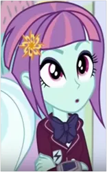 Size: 321x515 | Tagged: safe, derpibooru import, screencap, sugarcoat, sunny flare, dance magic, equestria girls, spoiler:eqg specials, clothes, crossed arms, crystal prep academy uniform, female, school uniform, solo focus