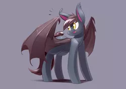 Size: 3507x2480 | Tagged: safe, derpibooru import, oc, oc:ventress, unofficial characters only, bat pony, pony, female, looking back, mare, simple background, solo