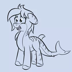 Size: 550x550 | Tagged: artist:glimglam, derpibooru import, fins, floppy ears, gills, grin, monochrome, nervous, nervous grin, oc, original species, safe, shark, shark pony, smiling, solo, teeth, unnamed oc, unofficial characters only