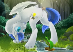 Size: 1000x707 | Tagged: safe, artist:arctic-fox, derpibooru import, oc, oc:wingedthoughts, unofficial characters only, pegasus, pony, blue eyes, blue mane, calendar, creek, forest, grass, looking back, male, plant, solo, stallion, sunlight, upside down, white coat