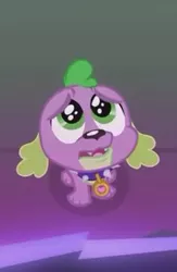 Size: 255x391 | Tagged: safe, derpibooru import, screencap, spike, spike the regular dog, dog, equestria girls, friendship games, cropped, cute, puppy, puppy dog eyes, solo, spikabetes