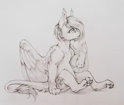 Size: 2024x1717 | Tagged: safe, artist:kerydarling, derpibooru import, oc, oc:shadowgale, unofficial characters only, pony, sphinx, solo, sphinx oc, traditional art