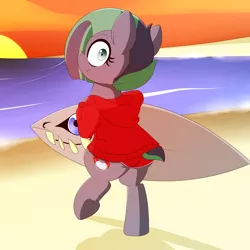 Size: 5000x5000 | Tagged: safe, artist:fullmetalpikmin, derpibooru import, oc, oc:kahuna, unofficial characters only, pony, absurd resolution, beach, clothes, hoodie, looking at you, looking back, shorts, solo, sunset, surfboard