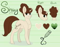 Size: 3000x2375 | Tagged: safe, artist:beashay, derpibooru import, oc, oc:shay, unofficial characters only, pony, unicorn, female, high res, mare, reference sheet, solo