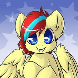 Size: 900x900 | Tagged: safe, artist:sapphfyr, derpibooru import, oc, oc:cloud circuit, unofficial characters only, pegasus, pony, abstract background, bust, chest fluff, colored pupils, commission, fluffy, looking at you, male, portrait, solo, stallion, wings