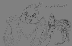 Size: 5100x3300 | Tagged: safe, artist:xeirla, derpibooru import, oc, oc:der, oc:gyro feather, oc:gyro tech, unofficial characters only, gryphon, descriptive noise, griffonized, micro, monochrome, sketch, species swap, tail