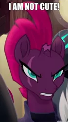 Size: 600x1073 | Tagged: safe, derpibooru import, edit, edited screencap, screencap, tempest shadow, pony, unicorn, my little pony: the movie, angry, armor, blatant lies, broken horn, cute, eye scar, female, i'm not cute, image macro, mare, meme, pretty pretty tempest, scar, storm guard, tempestbetes