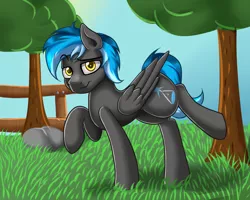 Size: 1500x1200 | Tagged: safe, artist:blues4th, derpibooru import, oc, oc:kepler, unofficial characters only, pegasus, pony, pony town, bedroom eyes, male, outdoors, solo, stallion, standing, tree, wings