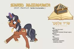 Size: 3900x2596 | Tagged: safe, derpibooru import, oc, oc:sarid almanach, unofficial characters only, pony, unicorn, father, glasses, hebrew, israheeli, jabot, male, reference sheet, solo, unshorn fetlocks