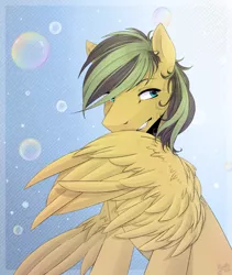Size: 1371x1628 | Tagged: safe, artist:kindly-fox, derpibooru import, oc, oc:ailan, unofficial characters only, pegasus, pony, bubble, large wings, solo, wings