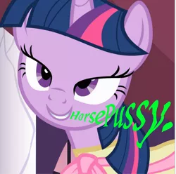 Size: 1128x1120 | Tagged: suggestive, derpibooru import, edit, edited screencap, screencap, twilight sparkle, pony, horse pussy, meme