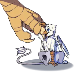 Size: 1000x1000 | Tagged: safe, artist:viirux, derpibooru import, oc, oc:der, oc:gyro feather, oc:gyro tech, unofficial characters only, gryphon, griffonized, micro, paws, simple background, species swap, talons, transparent background, underpaw