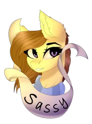 Size: 2991x4000 | Tagged: safe, artist:crazllana, derpibooru import, oc, oc:coffee, unofficial characters only, pony, banner, bust, female, high res, mare, old banner, portrait, sassy, simple background, solo, transparent background