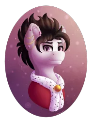 Size: 2300x3000 | Tagged: safe, artist:spirit-dude, derpibooru import, oc, unofficial characters only, pony, bust, clothes, commission, looking at you, male, portrait, simple background, solo, stallion, transparent background