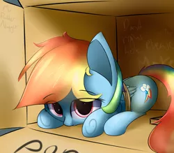 Size: 3200x2800 | Tagged: safe, artist:a8f12, derpibooru import, rainbow dash, pegasus, pony, box, cute, dashabetes, female, filly, filly rainbow dash, injured wing, pony in a box, prone, solo, tiny ponies, younger