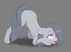 Size: 8901x6536 | Tagged: suggestive, artist:owlnon, derpibooru import, marble pie, earth pony, pony, absurd resolution, ahegao, blushing, face down ass up, female, lonely inky, mare, missing cutie mark, open mouth, solo, spread legs, spreading