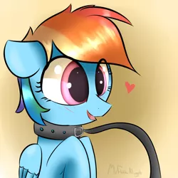 Size: 3000x3000 | Tagged: suggestive, artist:a8f12, derpibooru import, rainbow dash, pegasus, pony, bdsm, blushing, bust, collar, cute, dashabetes, floppy ears, heart, pet, pet play, pet-dash, smiling, solo, submission