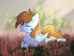 Size: 1600x1200 | Tagged: artist needed, safe, derpibooru import, oc, oc:sorren, unofficial characters only, pegasus, pony, field, green eyes, jewelry, lying down, necklace, solo, sunlight, wings