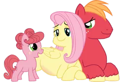 Size: 1024x684 | Tagged: safe, artist:saukapie, derpibooru import, big macintosh, fluttershy, oc, pony, female, fluttermac, male, offspring, parent:big macintosh, parent:fluttershy, parents:fluttermac, pregnant, shipping, straight