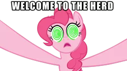 Size: 900x506 | Tagged: safe, derpibooru import, pinkie pie, pony, bridle gossip, artifact, simple background, solo, swirly eyes, transparent background, welcome to the herd