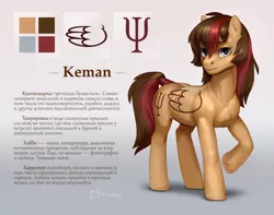 Size: 1024x806 | Tagged: safe, artist:catmag, derpibooru import, oc, oc:kenam, unofficial characters only, pegasus, pony, male, reference sheet, russian, solo, stallion