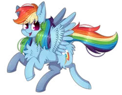 Size: 3869x3000 | Tagged: safe, artist:soundwavepie, derpibooru import, rainbow dash, pegasus, pony, chest fluff, colored pupils, ear fluff, female, fluffy, flying, happy, leg fluff, looking at you, mare, open mouth, shoulder fluff, simple background, smiling, solo, transparent background, wing fluff