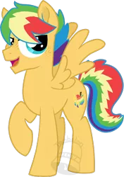 Size: 494x700 | Tagged: safe, alternate version, artist:tambelon, derpibooru import, oc, oc:zap apple, unofficial characters only, pegasus, pony, freckles, magical lesbian spawn, male, offspring, parent:applejack, parent:rainbow dash, parents:appledash, rainbow hair, simple background, solo, stallion, transparent background, watermark
