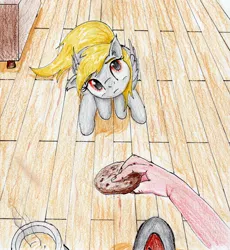 Size: 2435x2648 | Tagged: safe, artist:40kponyguy, derpibooru import, derpy hooves, pegasus, pony, behaving like a dog, cookie, female, floppy ears, food, hand, head tilt, looking at you, looking up, mug, pony pet, puppy dog eyes, sitting, traditional art, wooden floor, wrong eye color