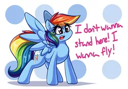 Size: 2477x1725 | Tagged: safe, artist:graphene, derpibooru import, rainbow dash, pegasus, pony, atg 2017, cute, dashabetes, dialogue, ear fluff, female, mare, multicolored hair, newbie artist training grounds, simple background, solo